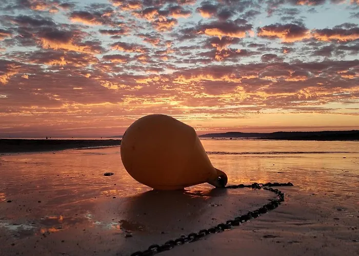 Avec Terrasse, Parking Prive Et Acces Direct A La - Fr-1-465-86